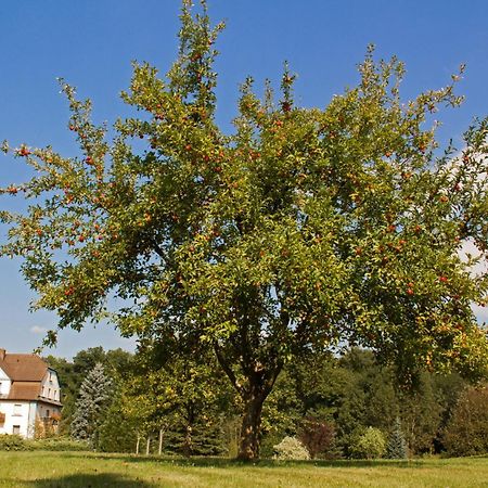 Hotel Jaegerhof Staatsbad Bruckenau Luaran gambar
