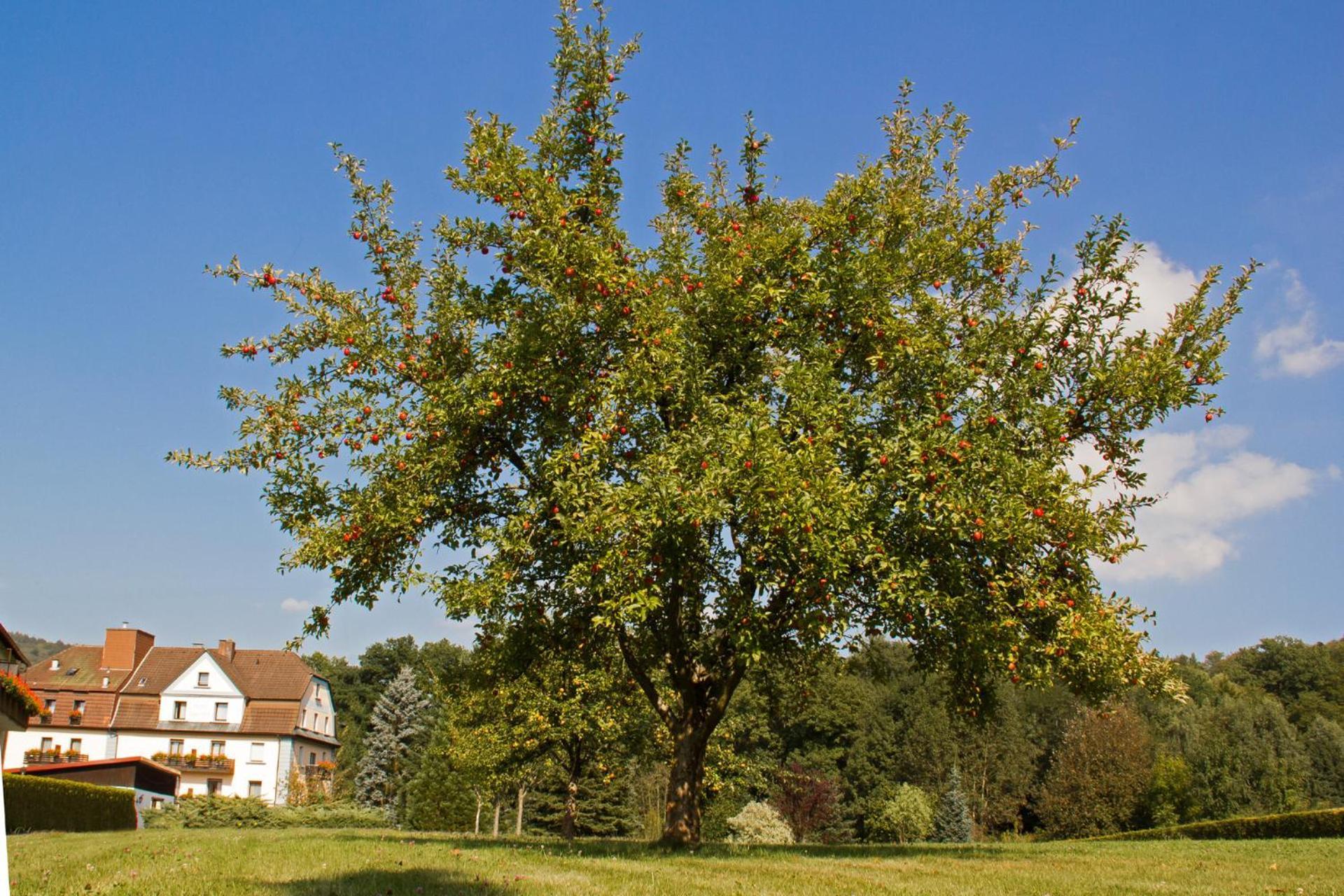 Hotel Jaegerhof Staatsbad Bruckenau Luaran gambar